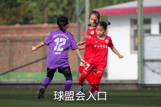 关于球盟会入口